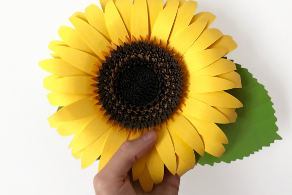 Sunflower Rolled flower SVG templates