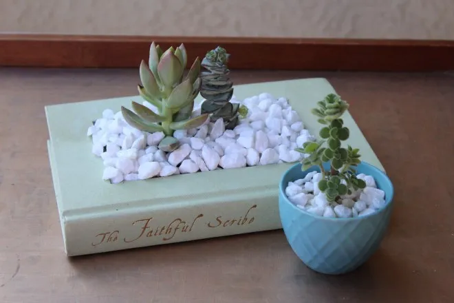 diy indoor planters