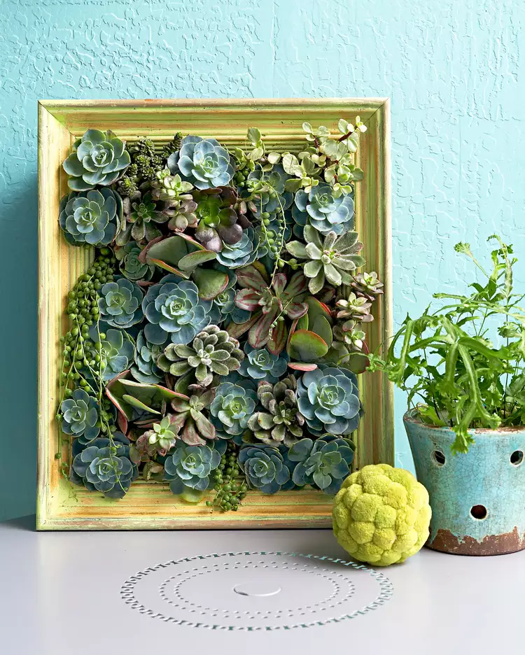Upcycled Picture Frame Ideas