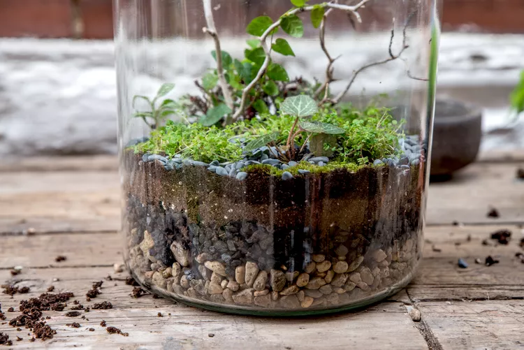 Glass Jar Ideas 