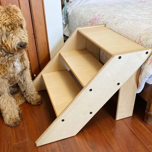 Upcycled Pet Projects