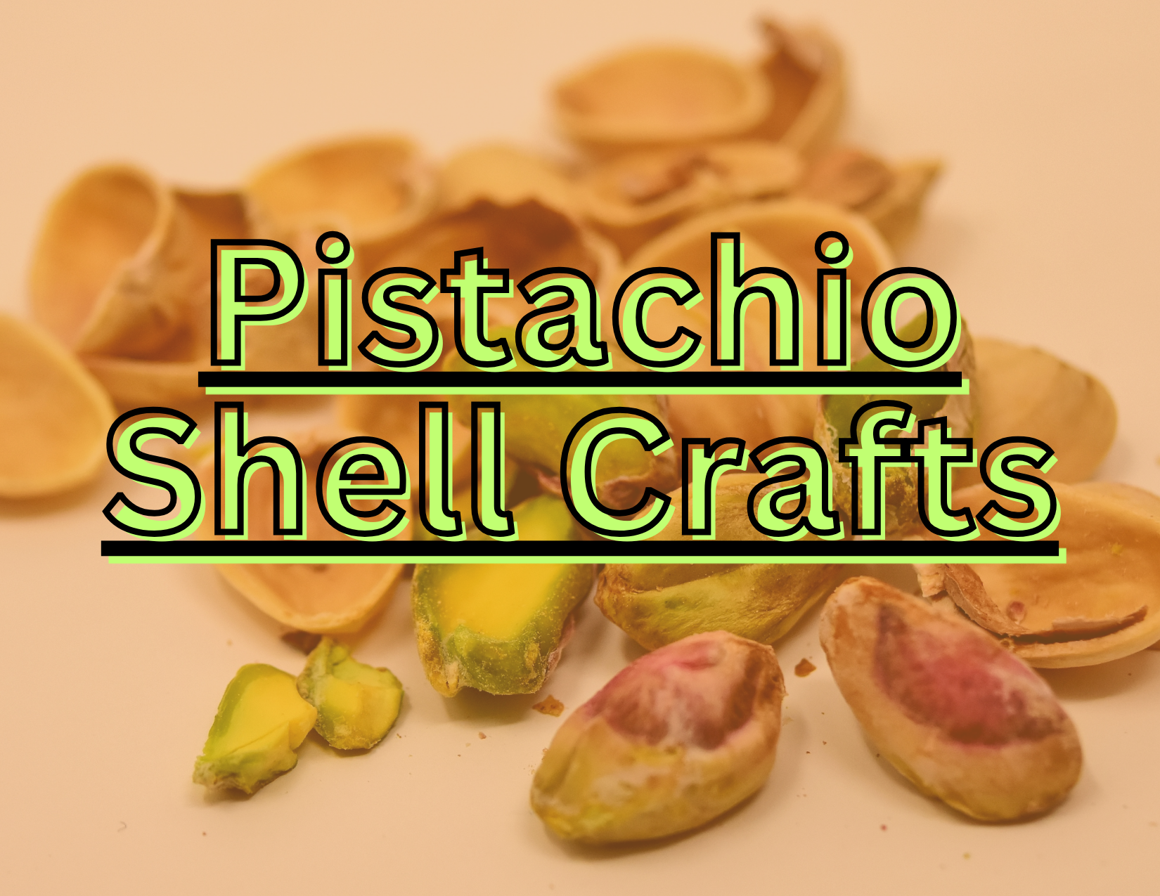 Pistachio Shell Crafts